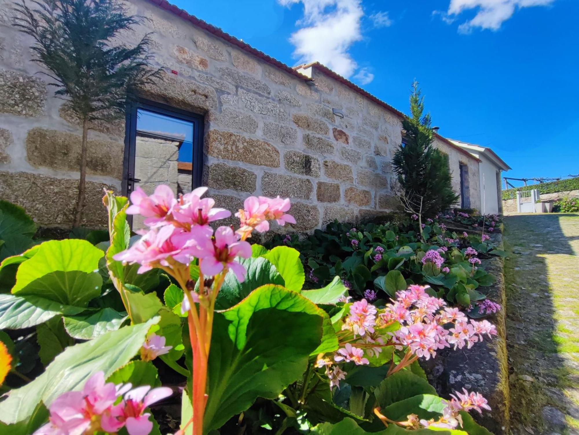 Agroturismo Quinta De Travancela アマランテ エクステリア 写真