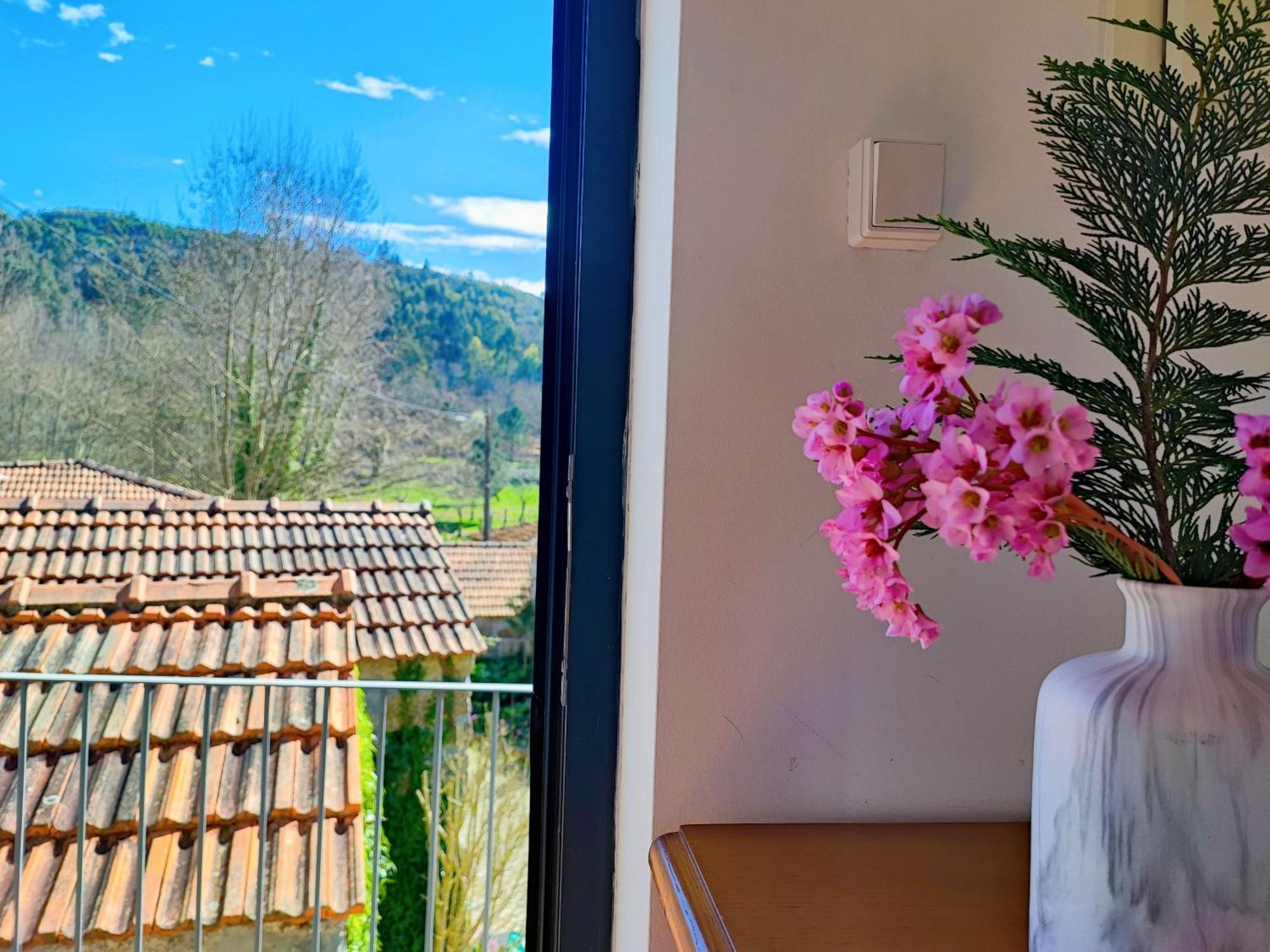 Agroturismo Quinta De Travancela アマランテ エクステリア 写真