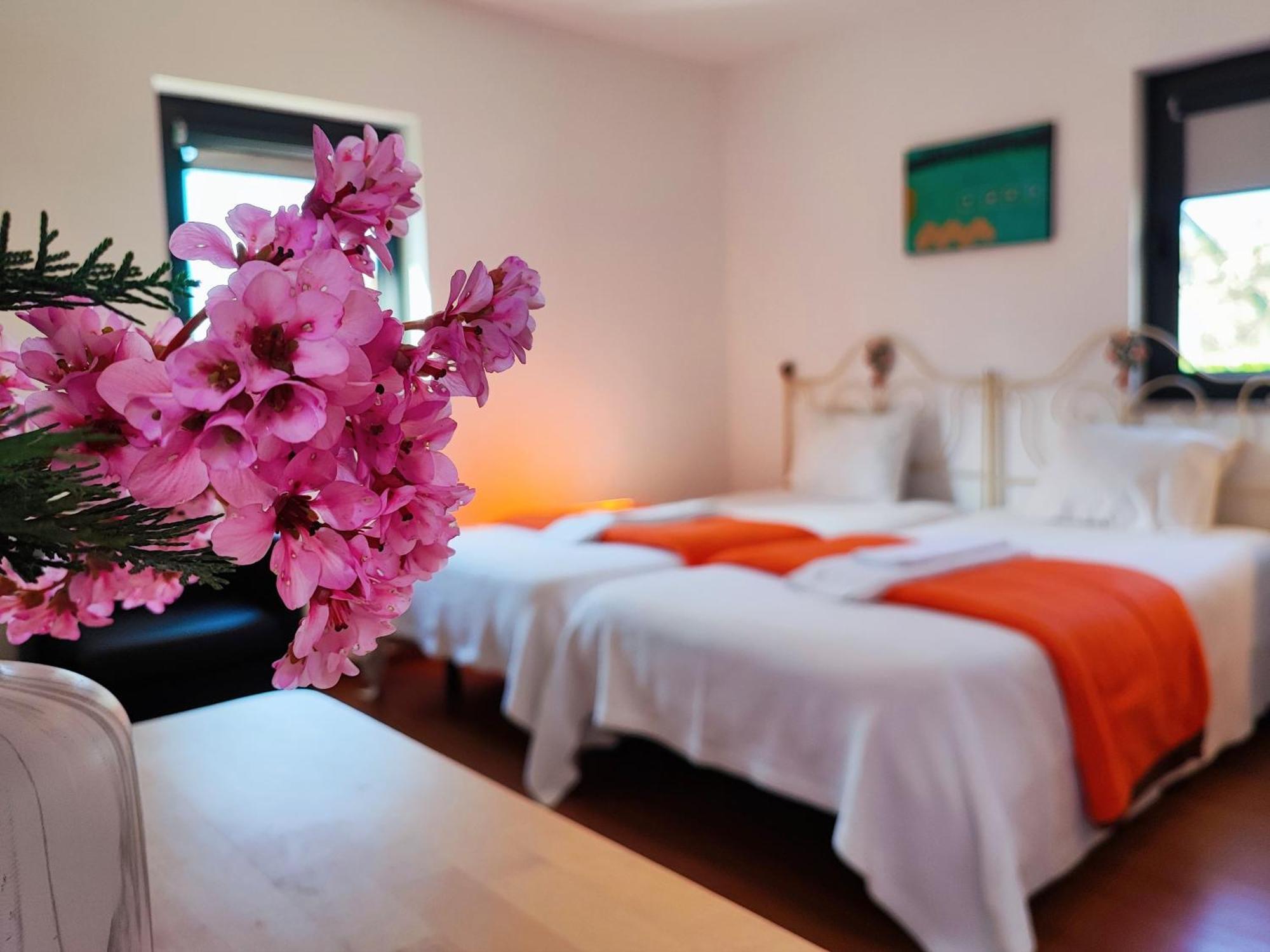 Agroturismo Quinta De Travancela アマランテ エクステリア 写真