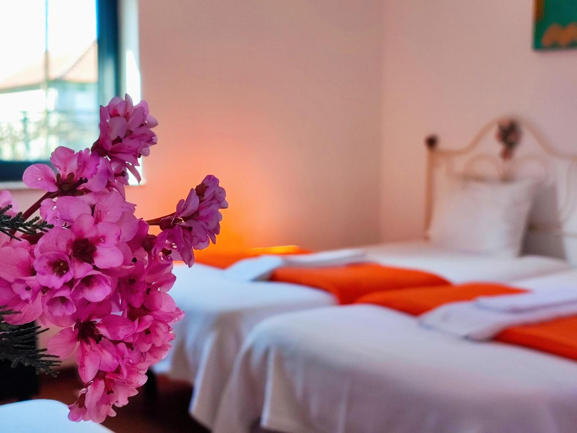 Agroturismo Quinta De Travancela アマランテ エクステリア 写真