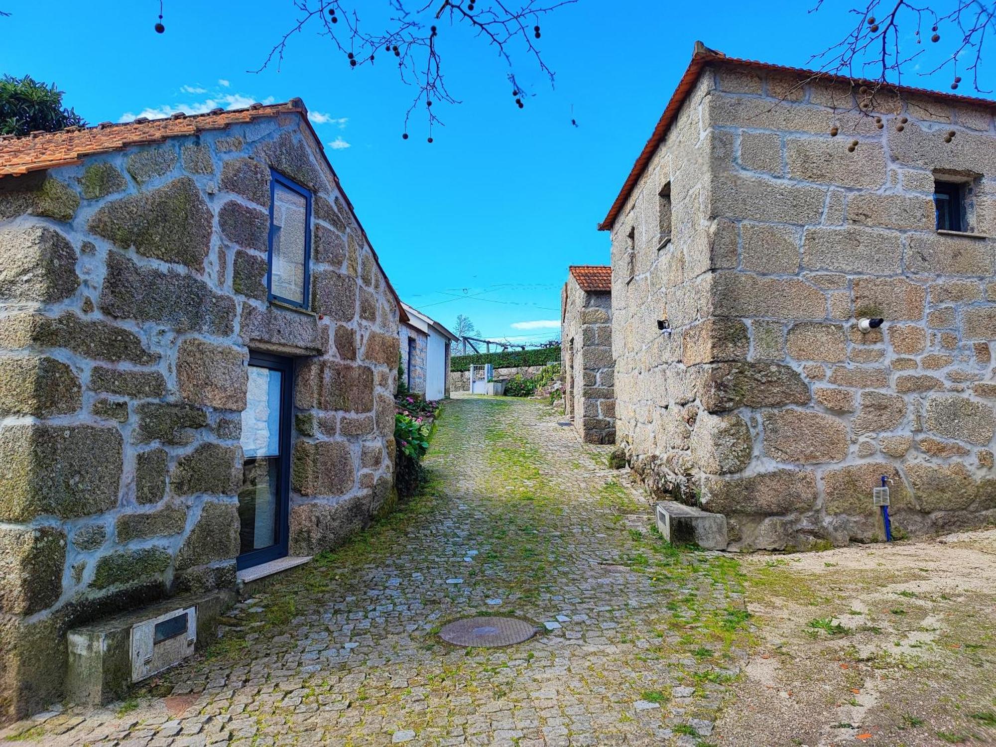 Agroturismo Quinta De Travancela アマランテ エクステリア 写真