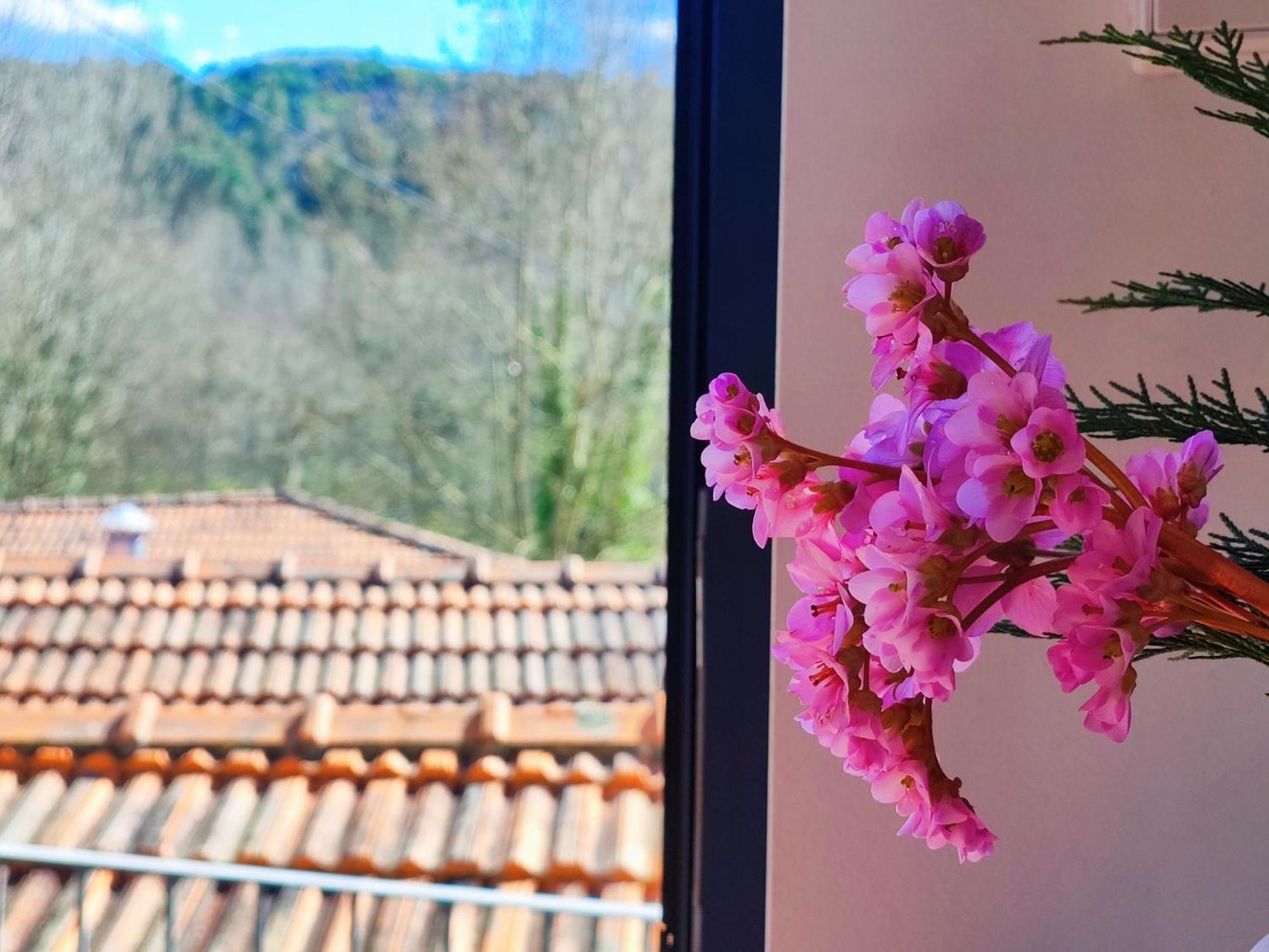 Agroturismo Quinta De Travancela アマランテ エクステリア 写真