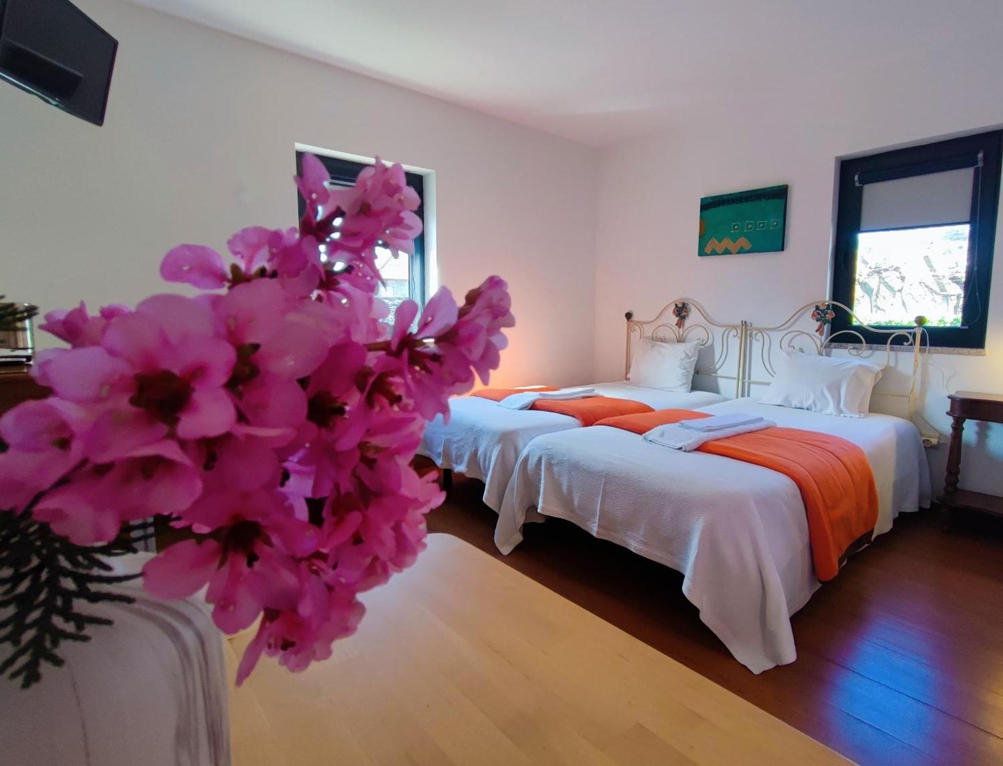 Agroturismo Quinta De Travancela アマランテ エクステリア 写真