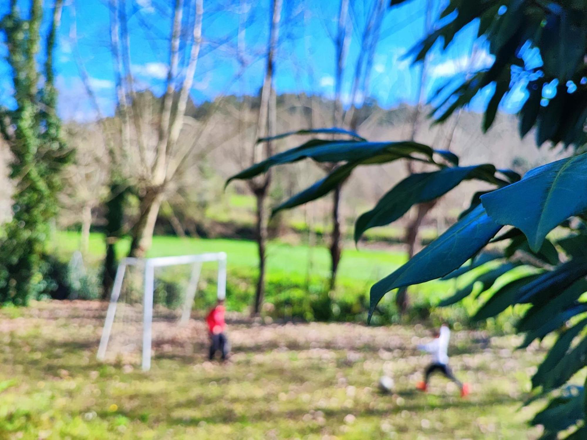 Agroturismo Quinta De Travancela アマランテ エクステリア 写真