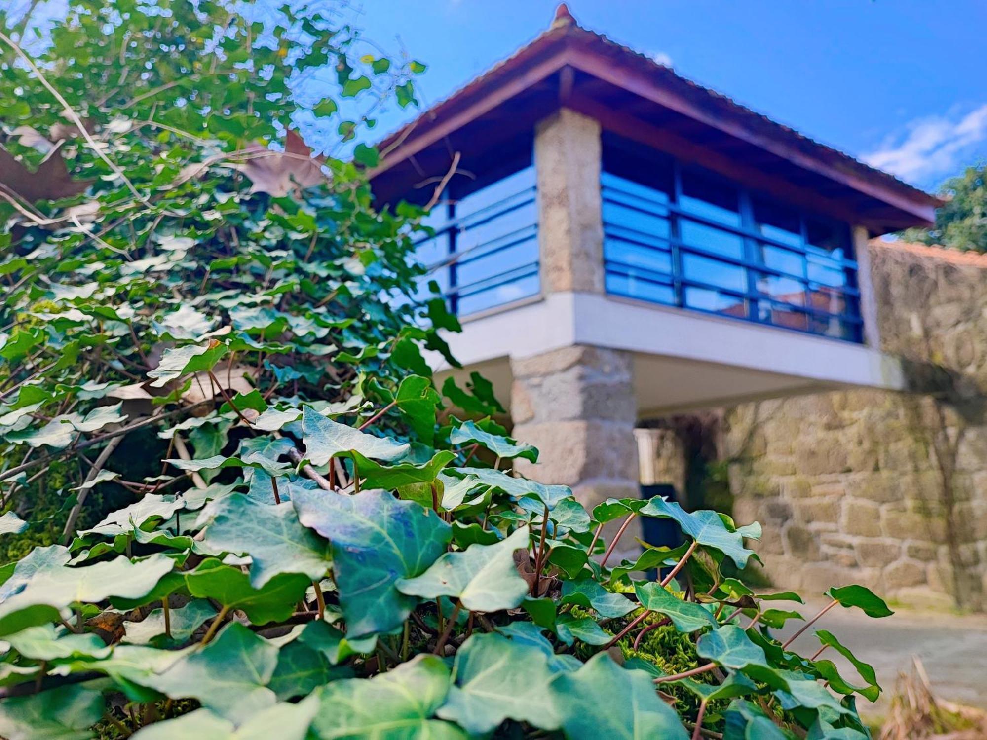Agroturismo Quinta De Travancela アマランテ エクステリア 写真