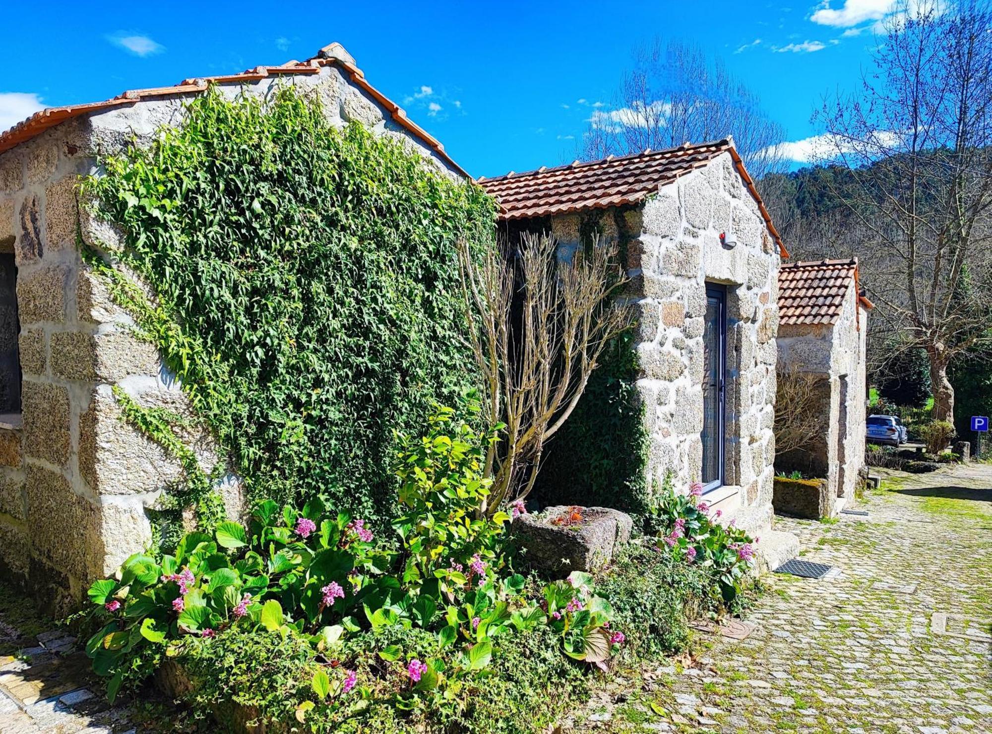 Agroturismo Quinta De Travancela アマランテ エクステリア 写真