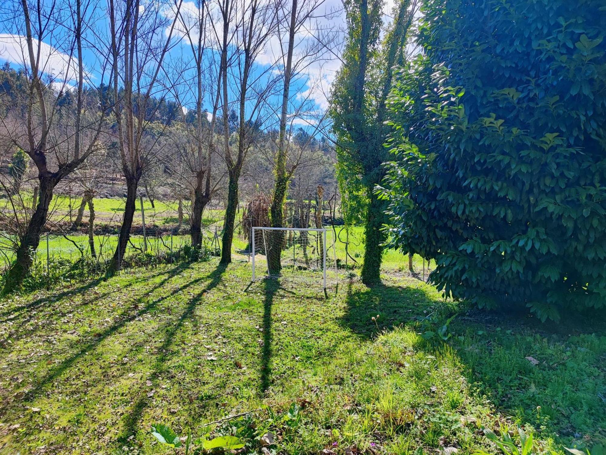 Agroturismo Quinta De Travancela アマランテ エクステリア 写真