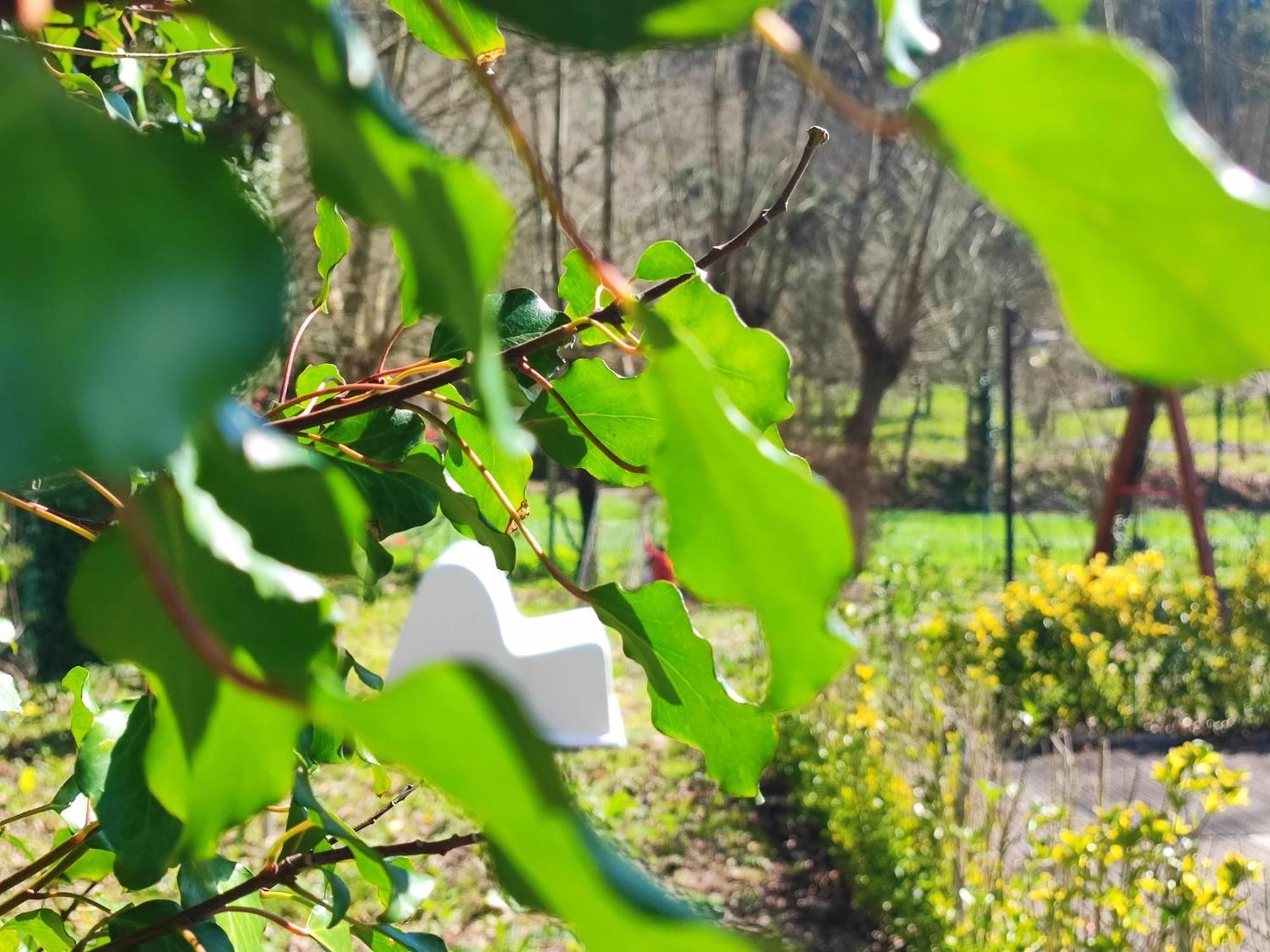 Agroturismo Quinta De Travancela アマランテ エクステリア 写真