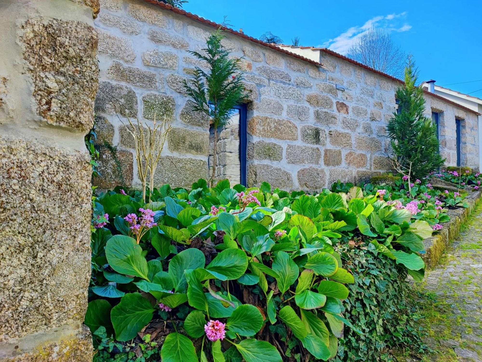 Agroturismo Quinta De Travancela アマランテ エクステリア 写真