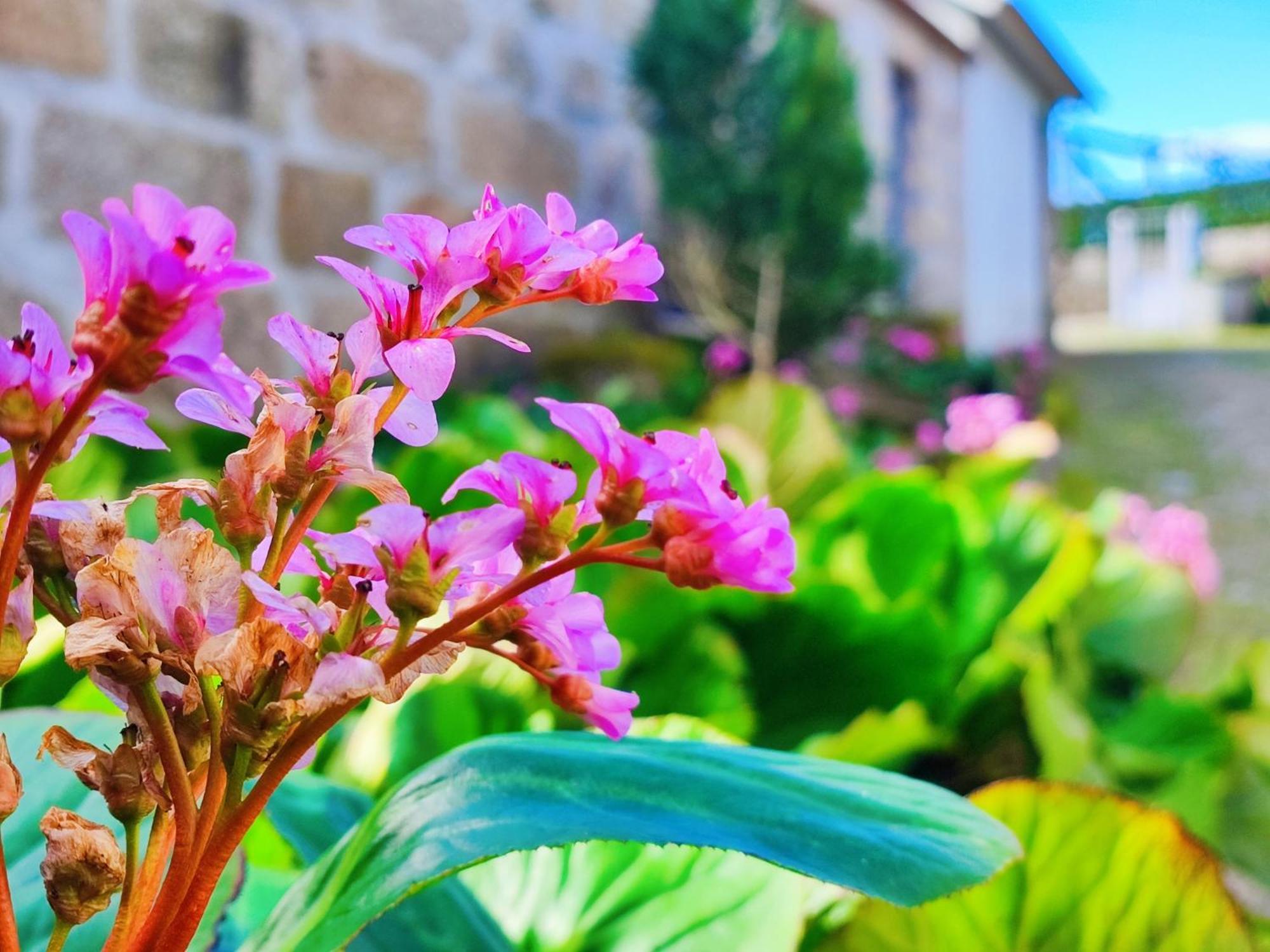 Agroturismo Quinta De Travancela アマランテ エクステリア 写真